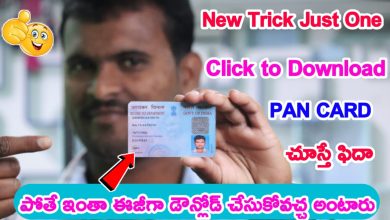 Photo of How can I download my PAN card online?||Can I download PDF of PAN card?||How can I see my PAN card online?